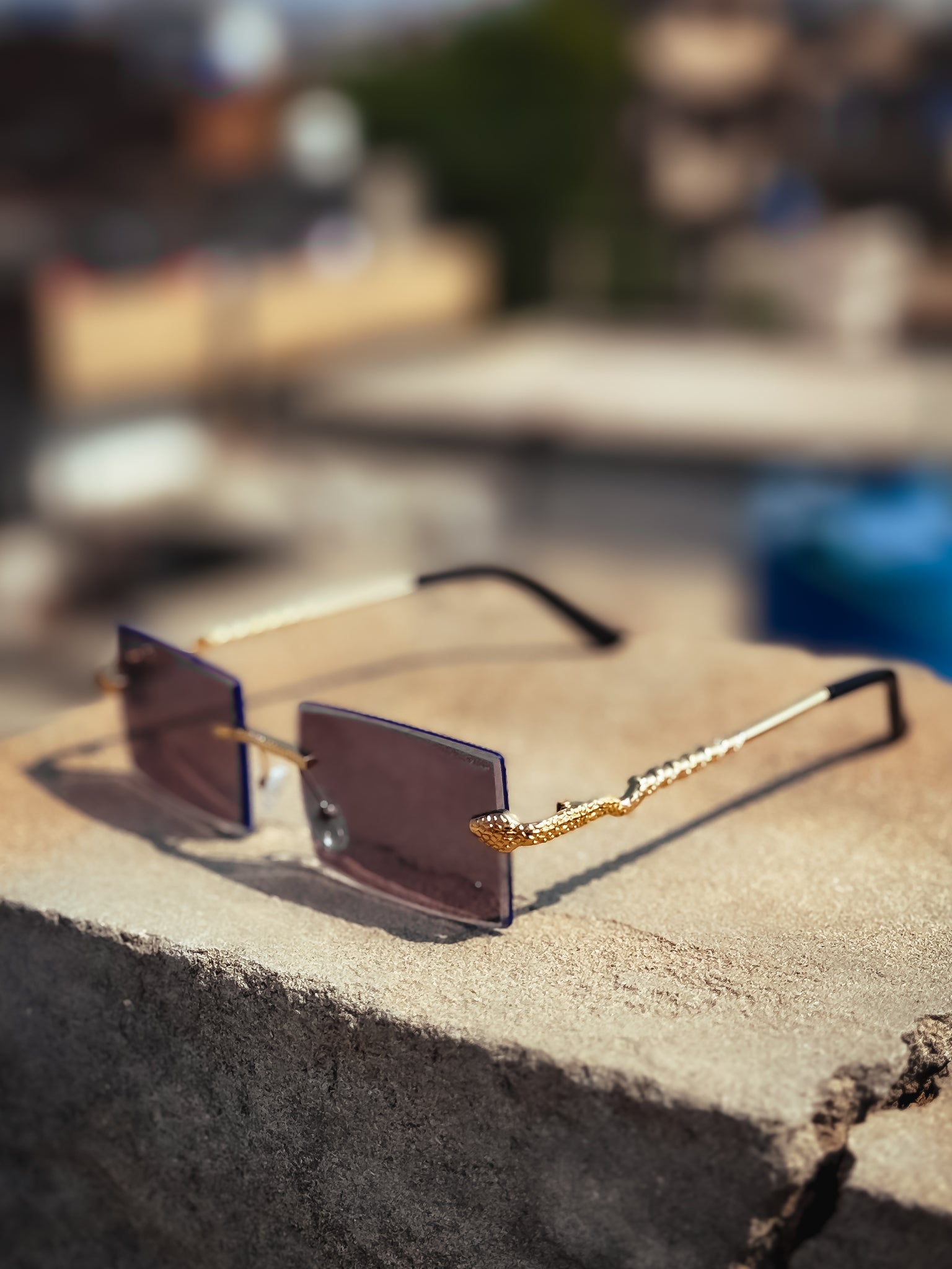 Cobra Solar Shades