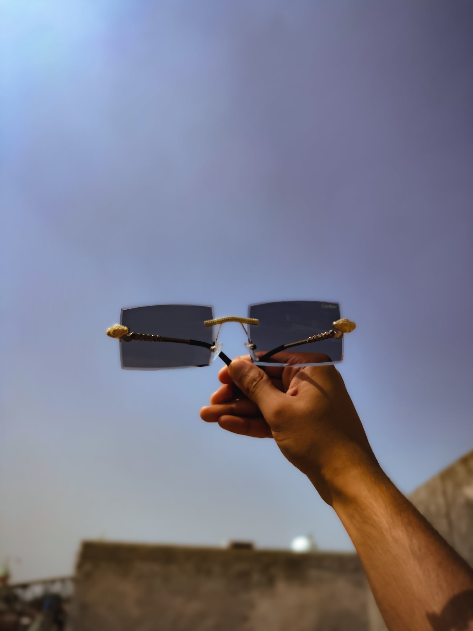 Cobra Solar Shades