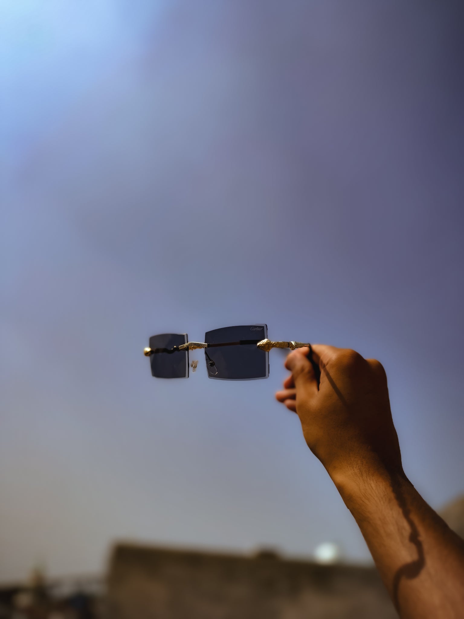 Cobra Solar Shades