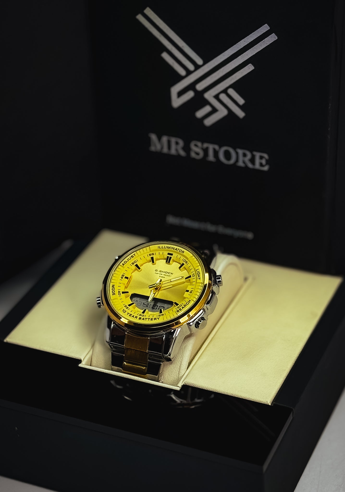 Global Dual-Time Watch